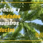 Beneficios de los Productos Hashem